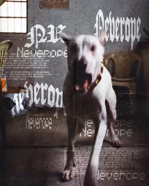 Neverope
